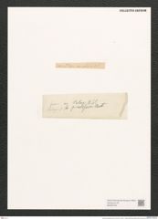 Navicula pseudofusca Pant. (de-Toni-Nr.: Genus 1, Species 296) Zeichnungen Sammlung Grunow (NHMW-BOT-W0367043)